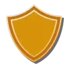icons8-shield-100